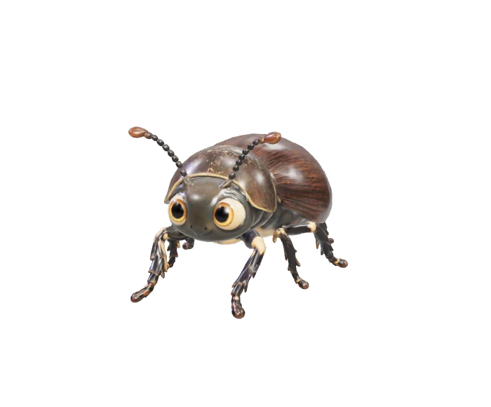 Eleodes, our desert beetle mascot